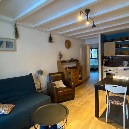 Appart 50M2 A Villard-De-Lans, 6 Pers, 2 Ch, Balcon, Ascenseur - Fr-1-515-143 المظهر الخارجي الصورة